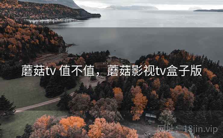 蘑菇tv 值不值，蘑菇影视tv盒子版