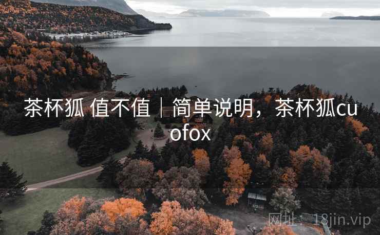 茶杯狐 值不值｜简单说明，茶杯狐cuofox