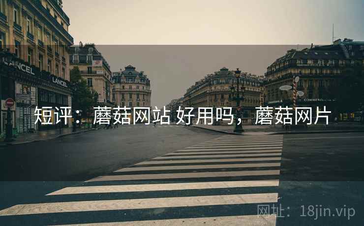 短评：蘑菇网站 好用吗，蘑菇网片